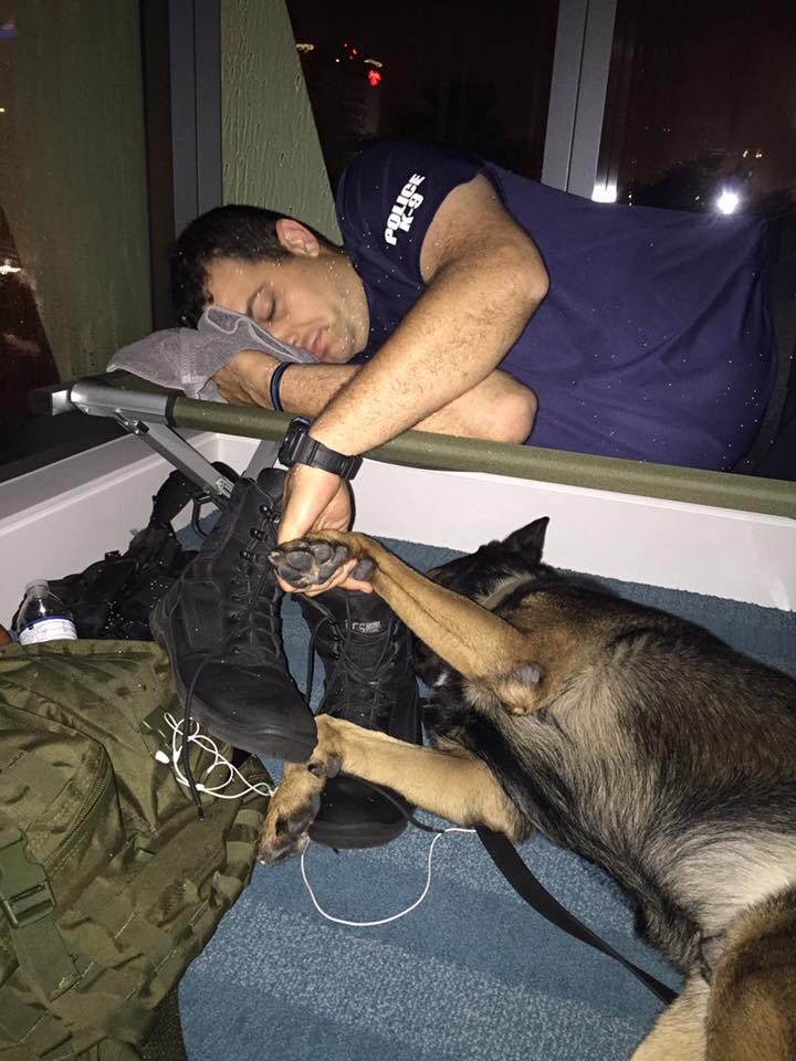 DognewsNews's tweet photo. Bilden på tass i hand berör en hel värld https://t.co/qUGKbfP83d @FLPD411 #FLDP #HURRICANE #Irma2017 #IrmaHurricane #IrmaFlorida https://t.co/hxCGw1Wvqc