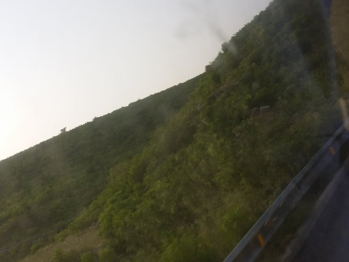 ZehraShafaq's tweet photo. Islamabad 😍😍😍 https://t.co/J5WbSwecaA