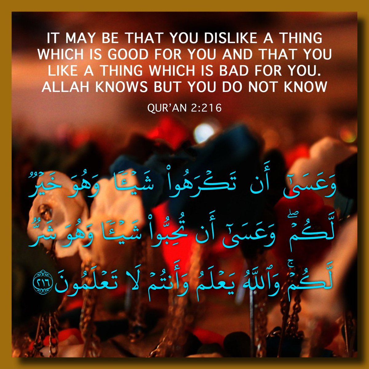11For_Sultan's tweet photo. https://t.co/n56ErT48zS https://t.co/vZx1N3msie