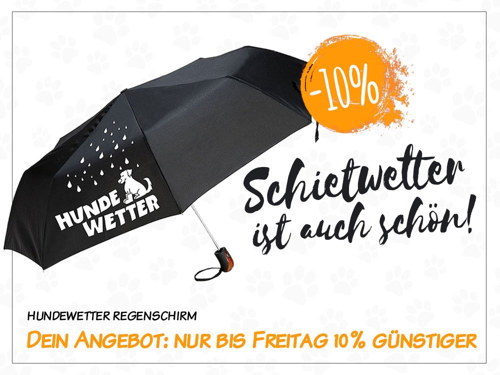 TierischtolleG's tweet photo. 10% auf HUNDEWETTER Regenschirm &amp; entdecke kuschelige Geschenke #schirm #schal #mütze  #hundedecke #drybed #kalender https://t.co/wi0gRG5CZv https://t.co/RZfb3ixWaV
