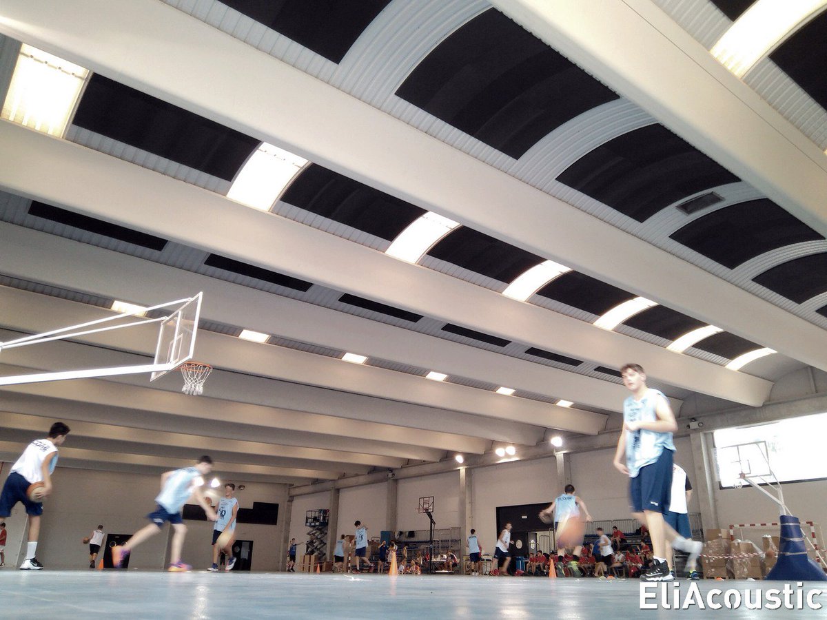 Reduce noise in Sports Pabilium 🏀 is easy with #EliAcoustic.
#AcouticPanel Regular Panel 120.4 First. 
Discover at  eliacoustic.com