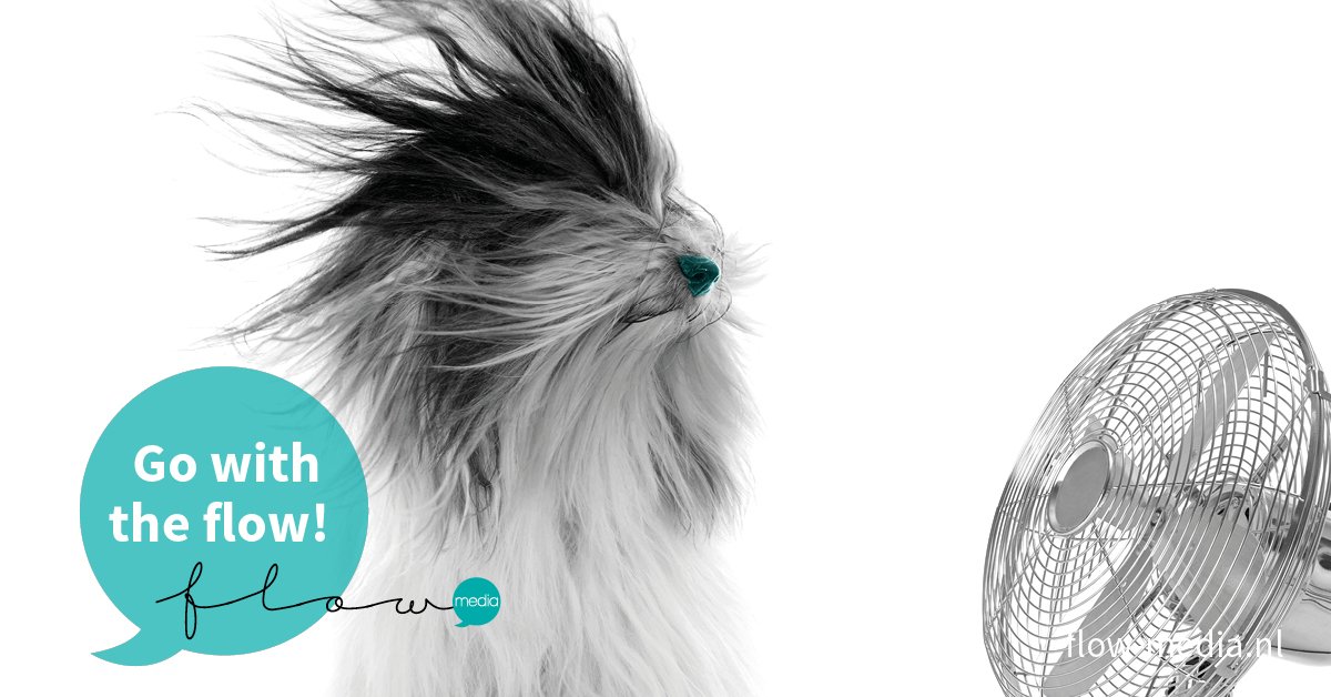 Go with the flow! Dat is inderdaad ons motto :) #vernieuwdehuisstijl