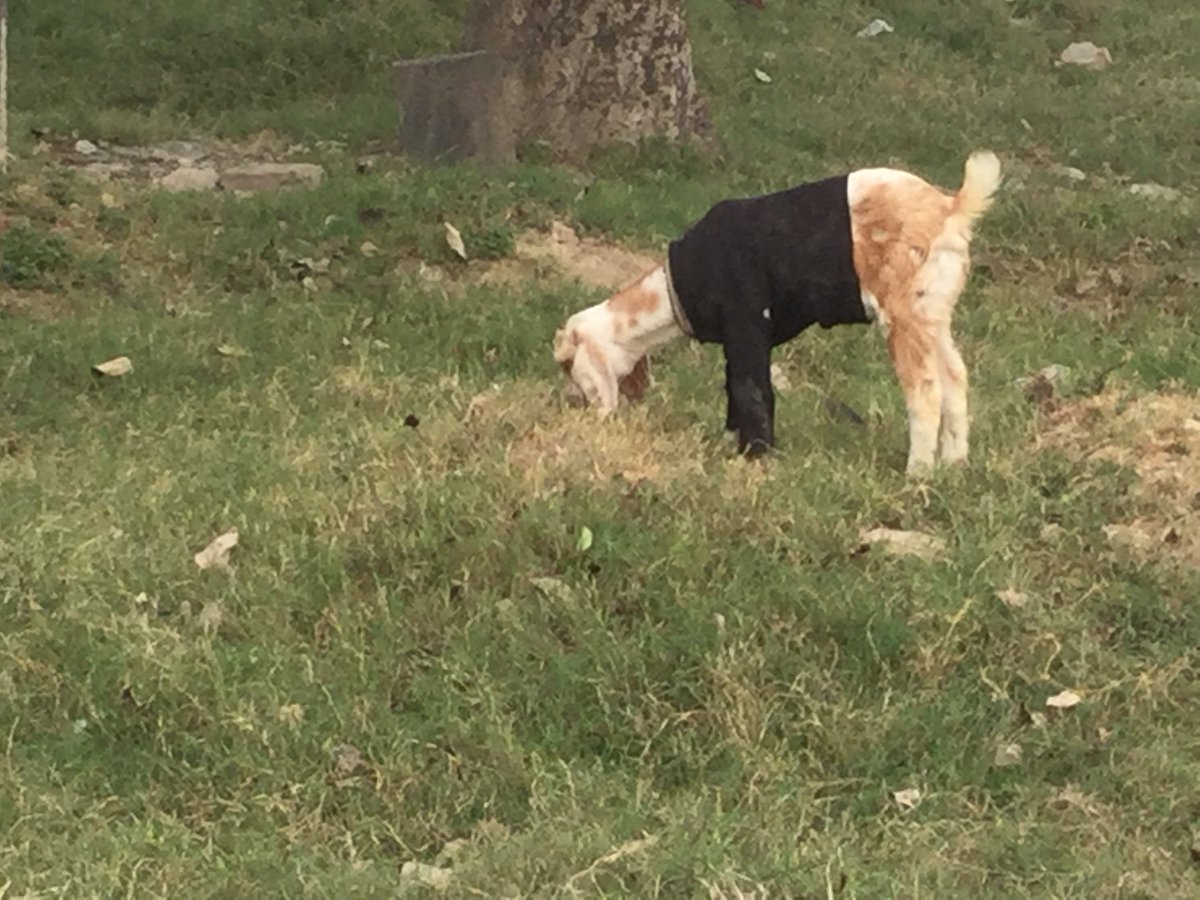 explore textiles India, mindful journeys In The wool shed.