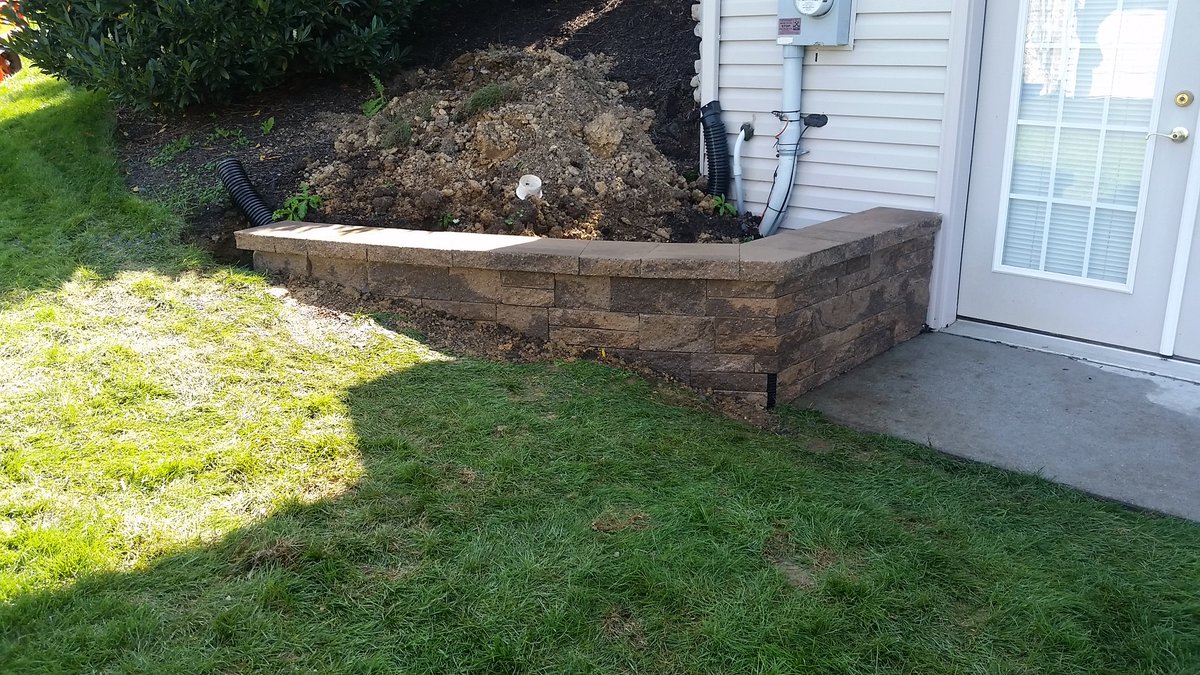 Bear Turf tweet media