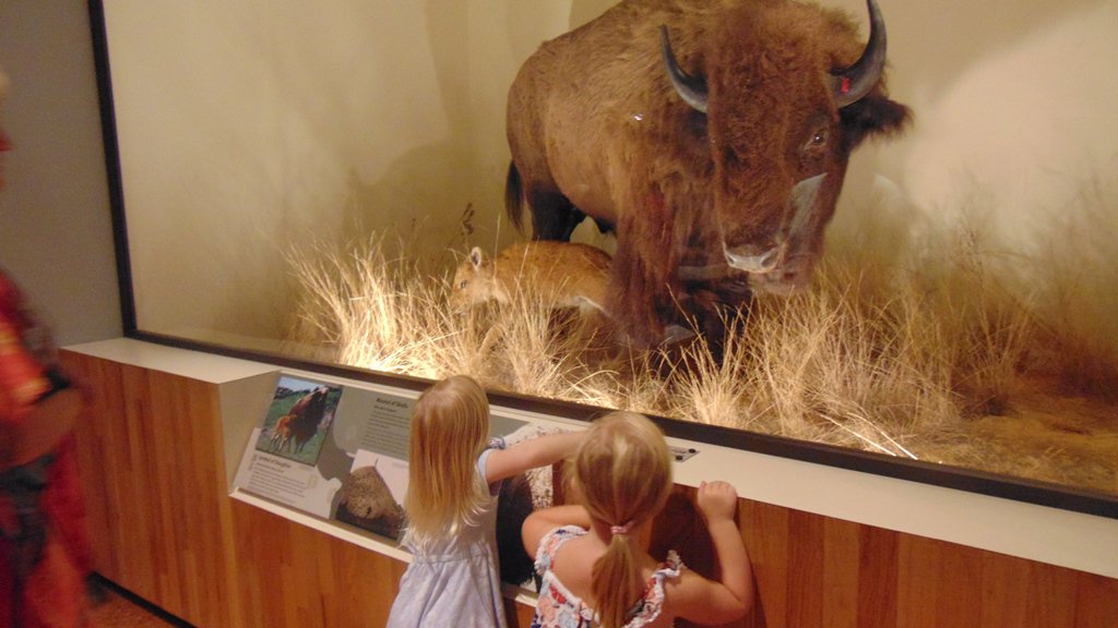 VisitCalhounCo's tweet photo. "Never lose your sense of wonder!" Lee Ann Womack #Explore #IGoCalCo https://t.co/TiL7bGQ4IF