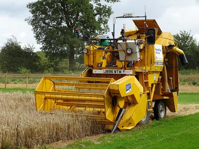Vad händer med bonden när robotar plöjer, sår och skördar?
fof.se/artikel/automa…
