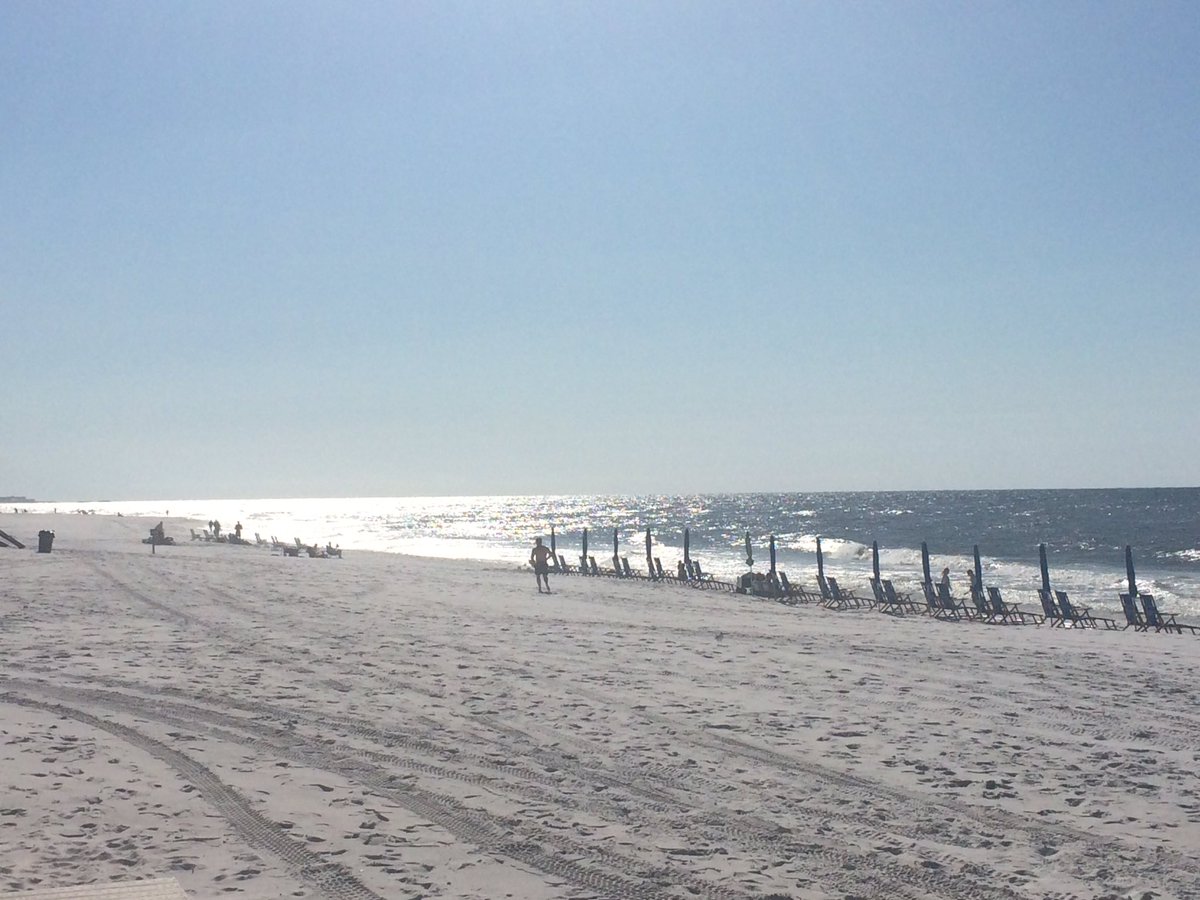 The Island FL tweet media