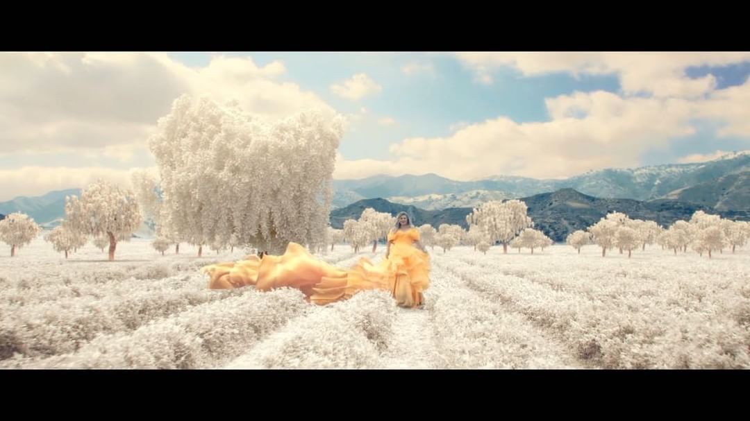 BiGR AUDIO tweet media