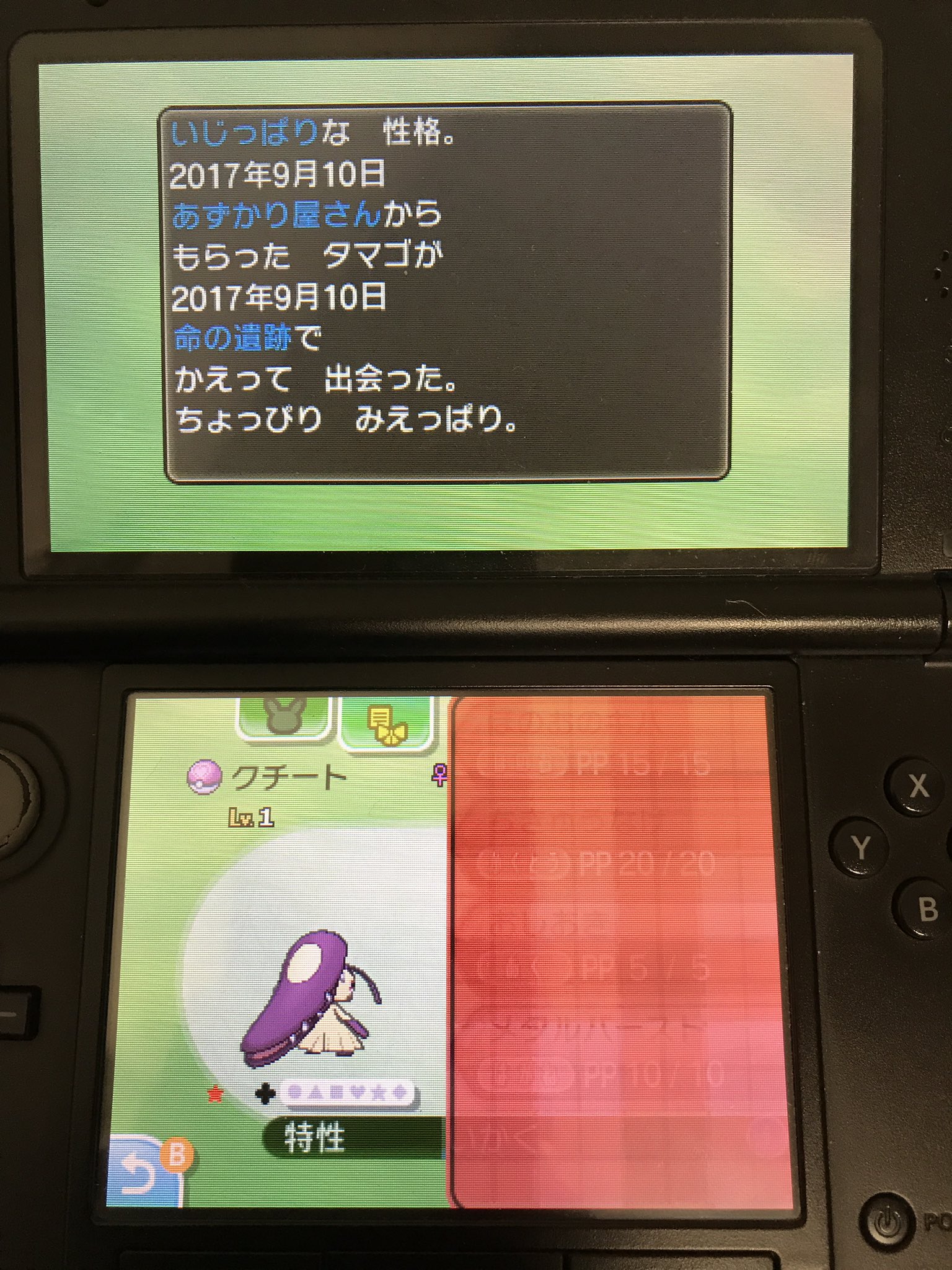 ハルマイン 色クチート兄妹産まれました 孵化場所と日付けも理想 個性も妥協範囲内で孵化させました ポケモンサンムーン T Co Kqkwj7ar3f Twitter