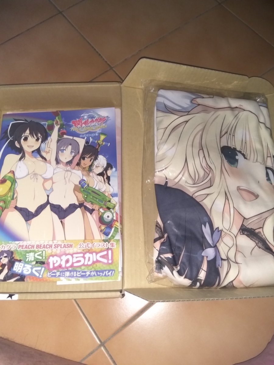 高木 謙一郎 C 好評発売中です 閃乱カグラ Peach Beach Splash 公式イラスト集 T Co Nv5a5fkooe 閃乱カグラ T Co Hffepkkgpx Twitter