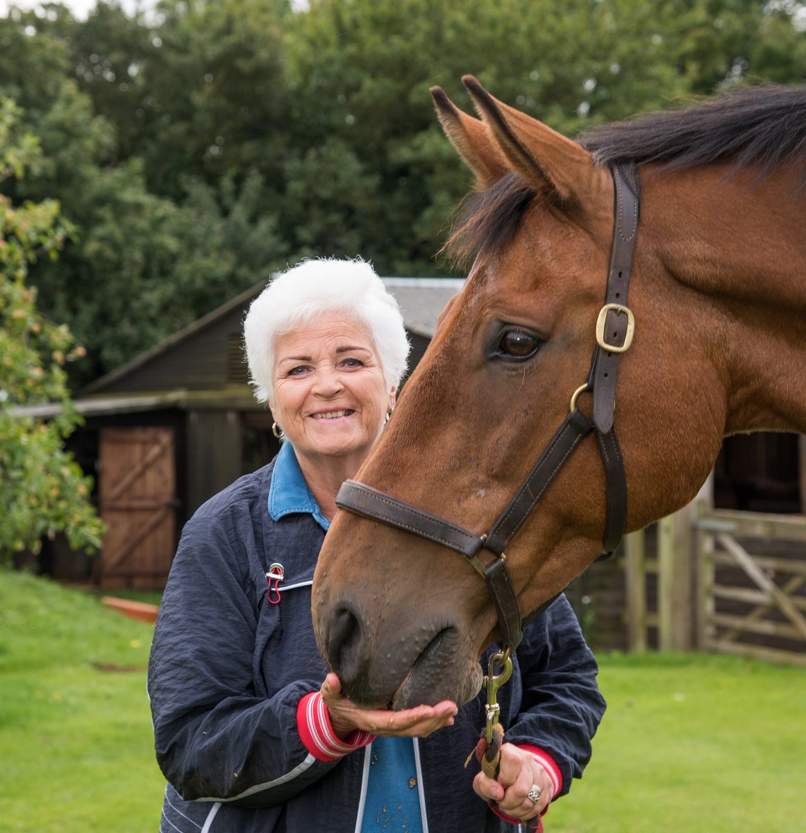 Brooke 🐴🧡 tweet media