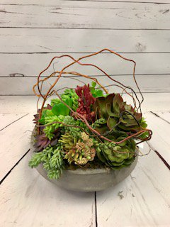 Paradise_Floral's tweet photo. Quality, custom silks can give your home or office a needed pop w/o the maintenance of cut flowers or plants. #nogreenthumb #keepitlocalcle https://t.co/OgkXgdmkuP