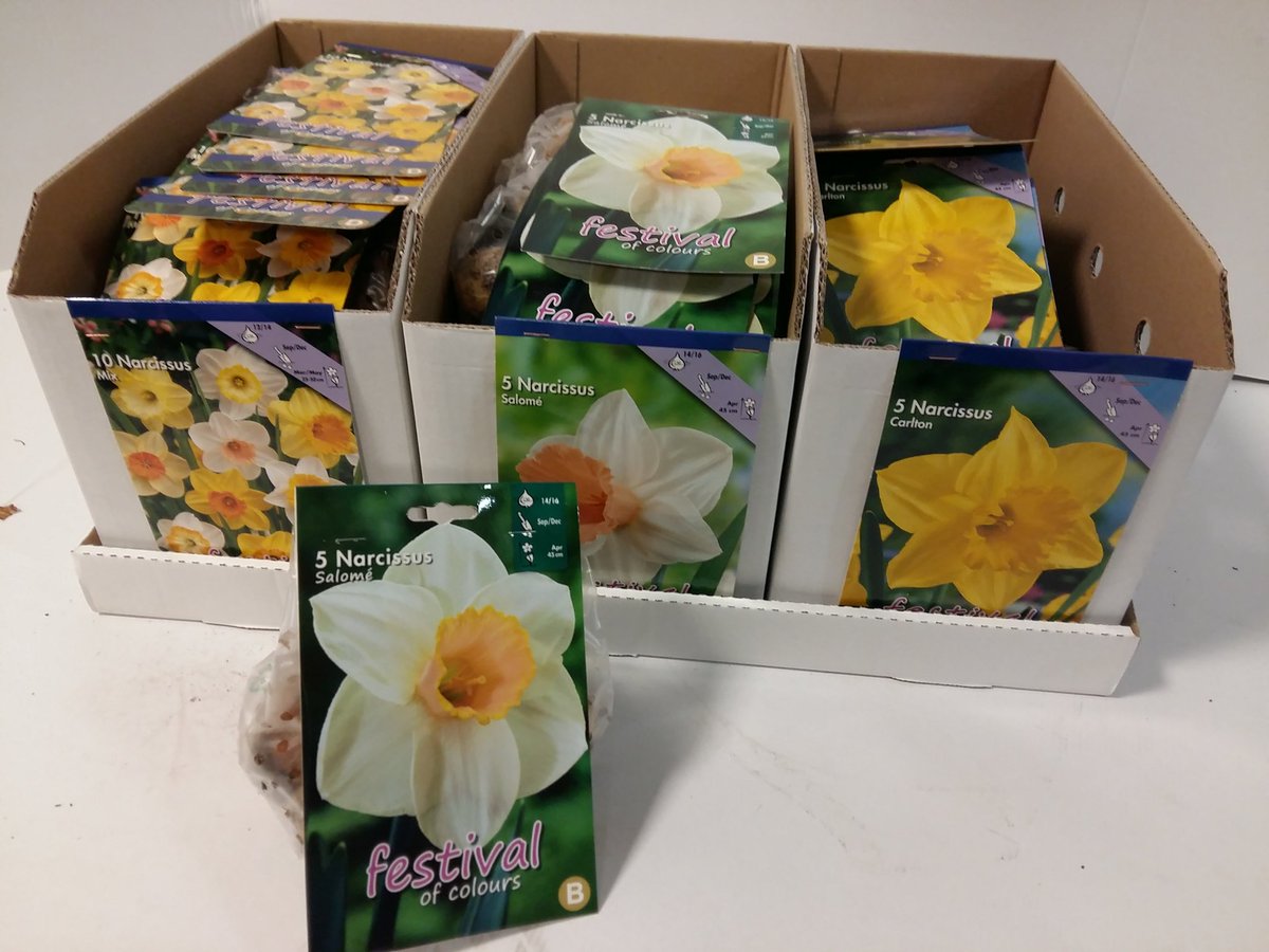 JacoReijerkerk's tweet photo. Verpakte bloembollen op @FloraMondo @MeulderBv https://t.co/WQxxtoVg7Z https://t.co/rPi0FQ05Wq