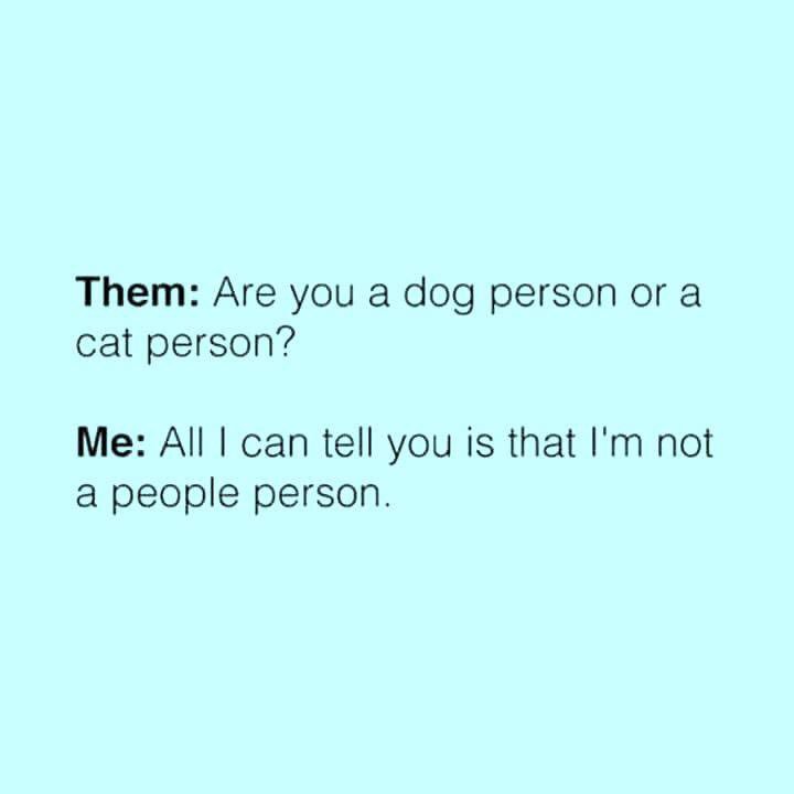 terri_polce's tweet photo. 9 pets in a house of 6....my goal is more pets, less humans... https://t.co/e4BljCBTAh