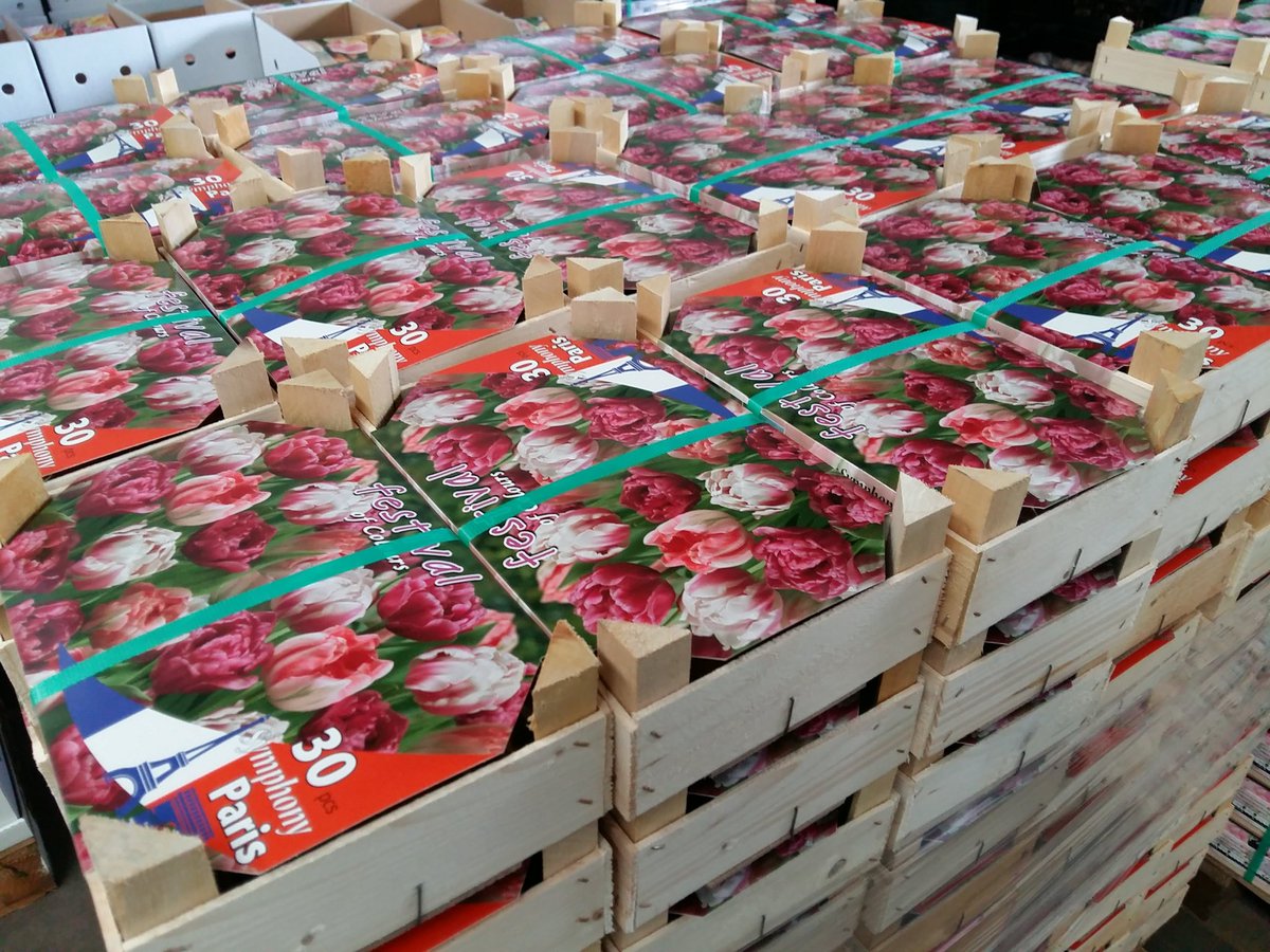 MeulderBv's tweet photo. Verpakte bloembollen en meer verkrijgbaar via de webshop van @OzimportNL @FloraHolland @MeulderBv https://t.co/8mpkSnEuGX