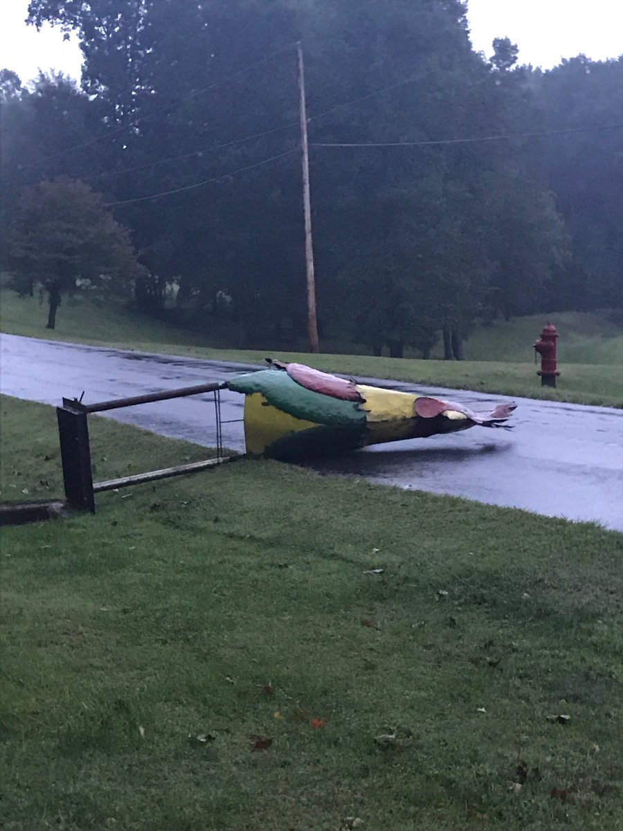 woodbrothers21's tweet photo. Irma's wind was no match for him. RIP in piece https://t.co/2lXOejytvw