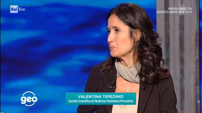 View image on Twitter