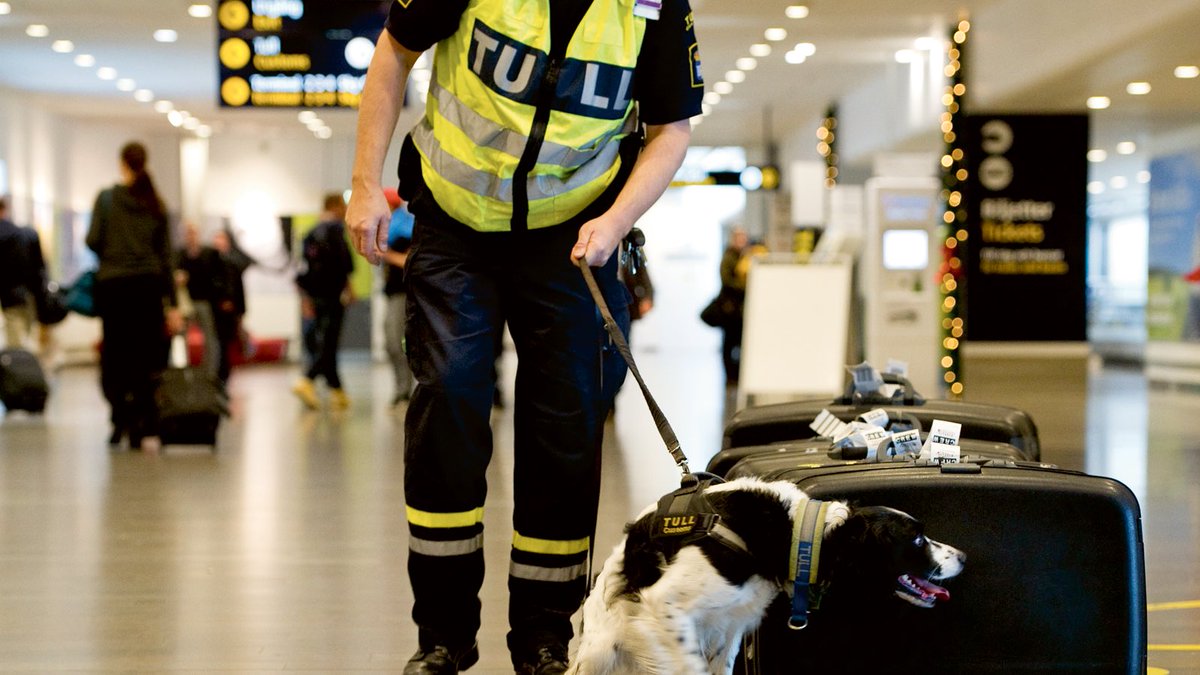 Hela rättskedjan ska stärkas för att dra full nytta av polissatsningarna. 750 miljoner kr till bl.a. Tull, åklagarväsende och kriminalvård