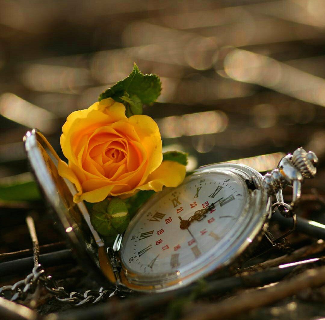 가을이 천천히 오고 있다.
허둥대는 허한 마음을
한 걸음 늦게 걷기로 했다. 
벌써 설렌다. 
한국의 가을이 그립다.