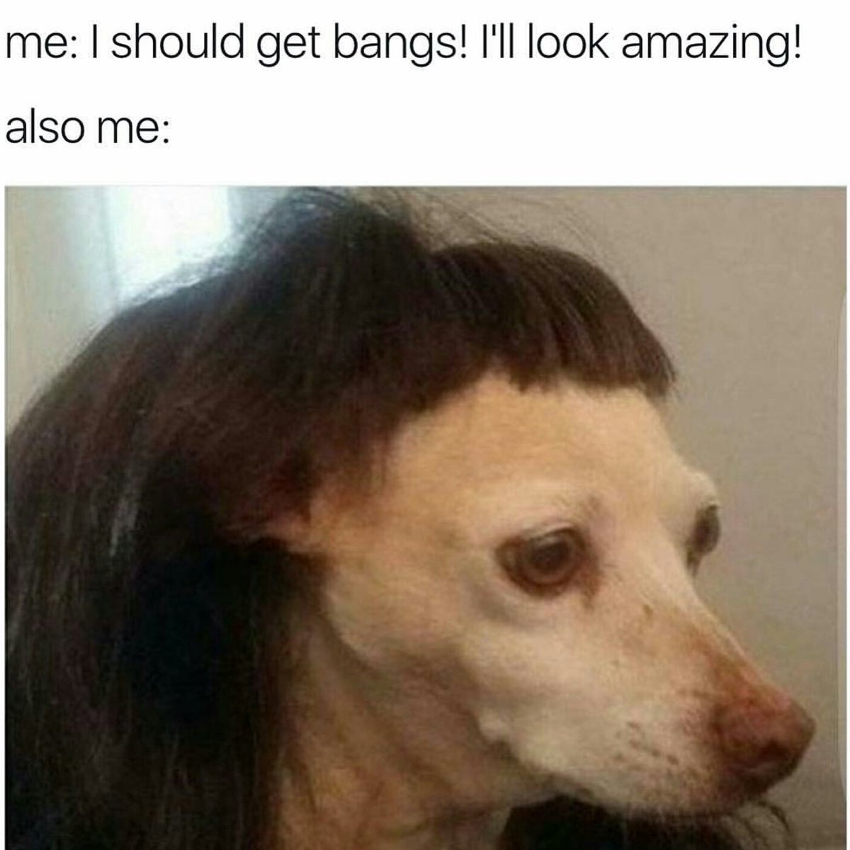 behindthechair_'s tweet photo. * MORNING LAUGH-BLAST! Have a bangin' day behind the chair :) https://t.co/RJhv52Xp68