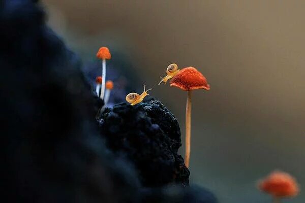 당신이
지금 부러워 하는 사람을

시기 할 필요는 없습니다

그 사람도
당신을 부러워 할때가 올테니까요

운이라는게 한쪽에만
오래 머물러 있는 것이 아니고

기회라는게 한사람에게만
주어지는 것이 아니기 때문에

때가 되면
당신에게도 좋은날이 오게됩니다