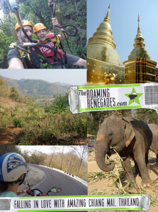 globvel's tweet photo. Chiang Mai things to do
https://t.co/xCC0Riaz89 https://t.co/PK7txRwsgM