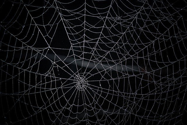 паучья паутина. паук на паутине. Spider web перевод. паучья паутина. паутина крестовика.