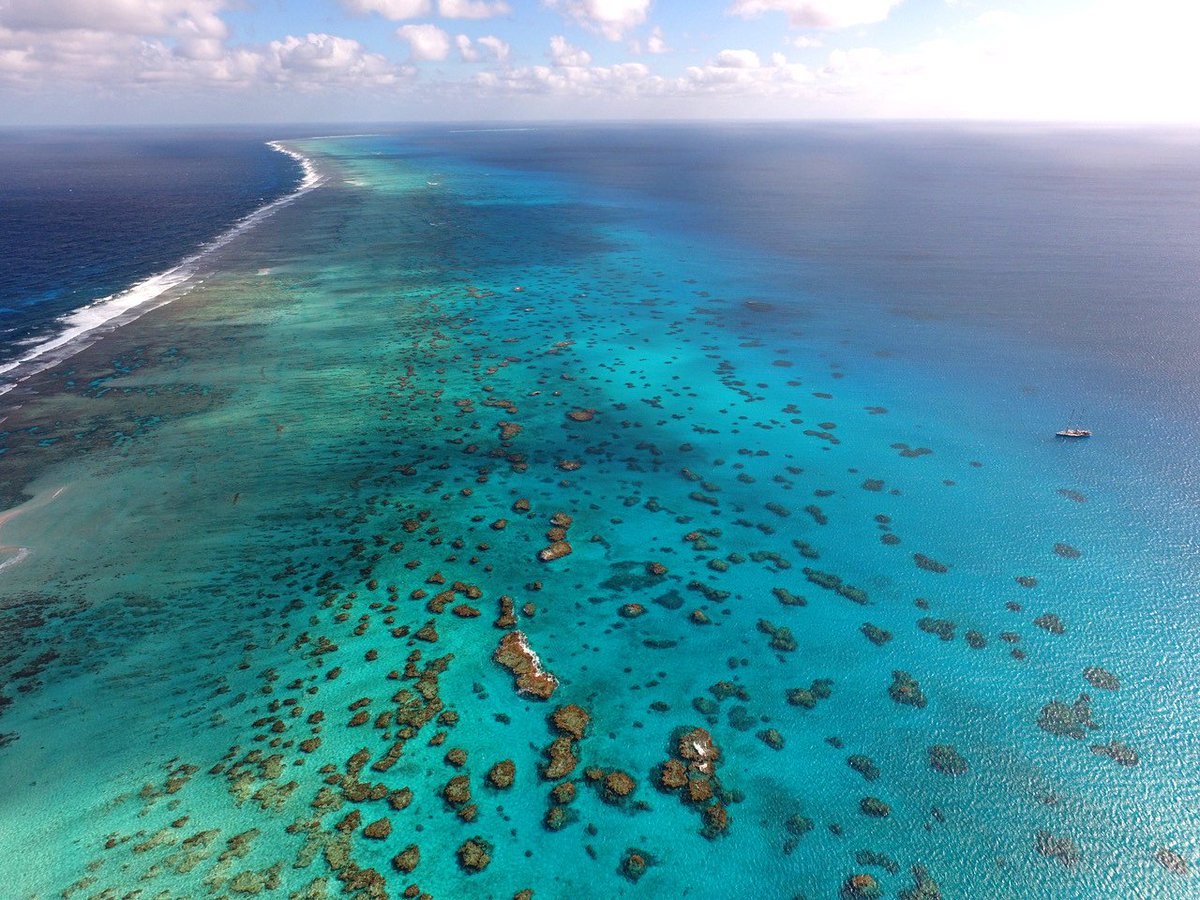 TaraOcean_'s tweet image. Nouvelles photos #TaraPacific: Après l'escale à Mackay,Tara met les voiles sur les Chesterfield dans la #MerDeCorail
oceans.taraexpeditions.org/mediatheque/ph…