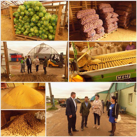 В рамках Дня губернатора в Кинешемском районе посетили КФХ Волкова Сергея Юрьевича. Крепкое, успешное хозяйство!