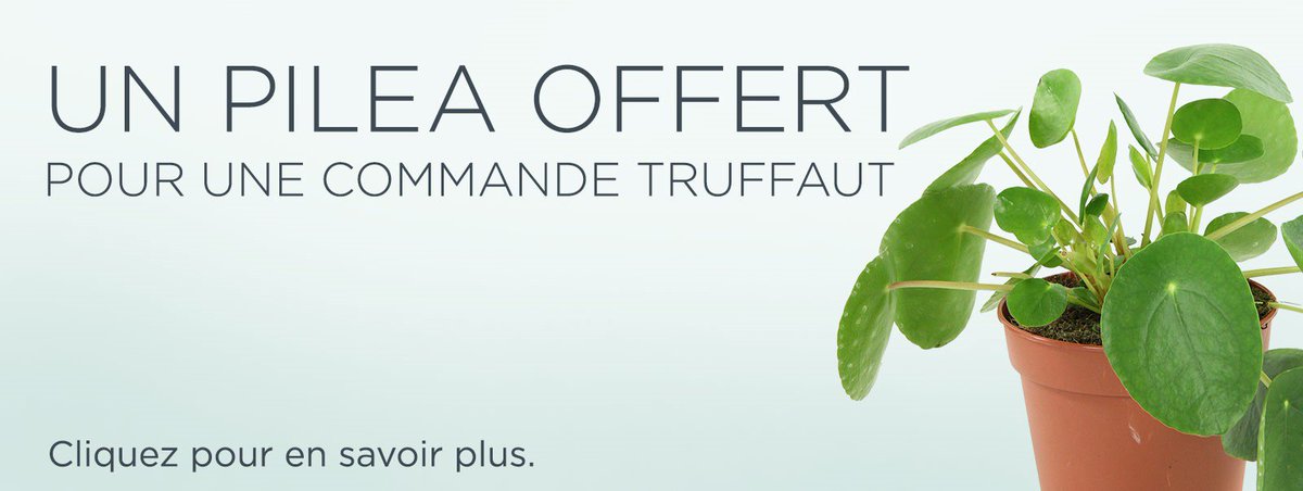 Truffaut tweet media