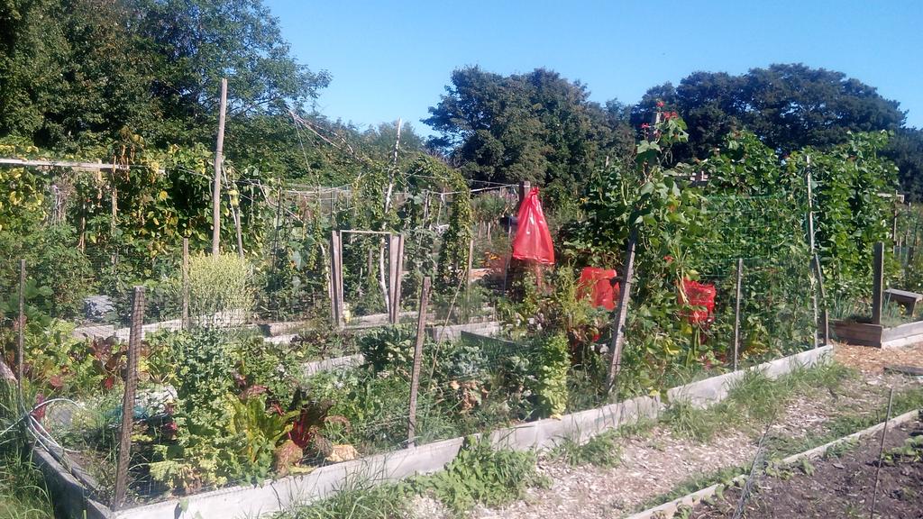 HarlerEnviLtd's tweet image. @KPUScienceHort worked with students &amp;amp; the city to set up a farmer's market serving different communities @WEEC2017