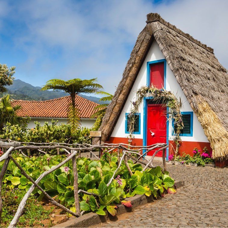 When in colorful Madeira, your eyes will likely be drawn to three things: the vibrant green and gold of the terrac… ift.tt/2vSCdXD