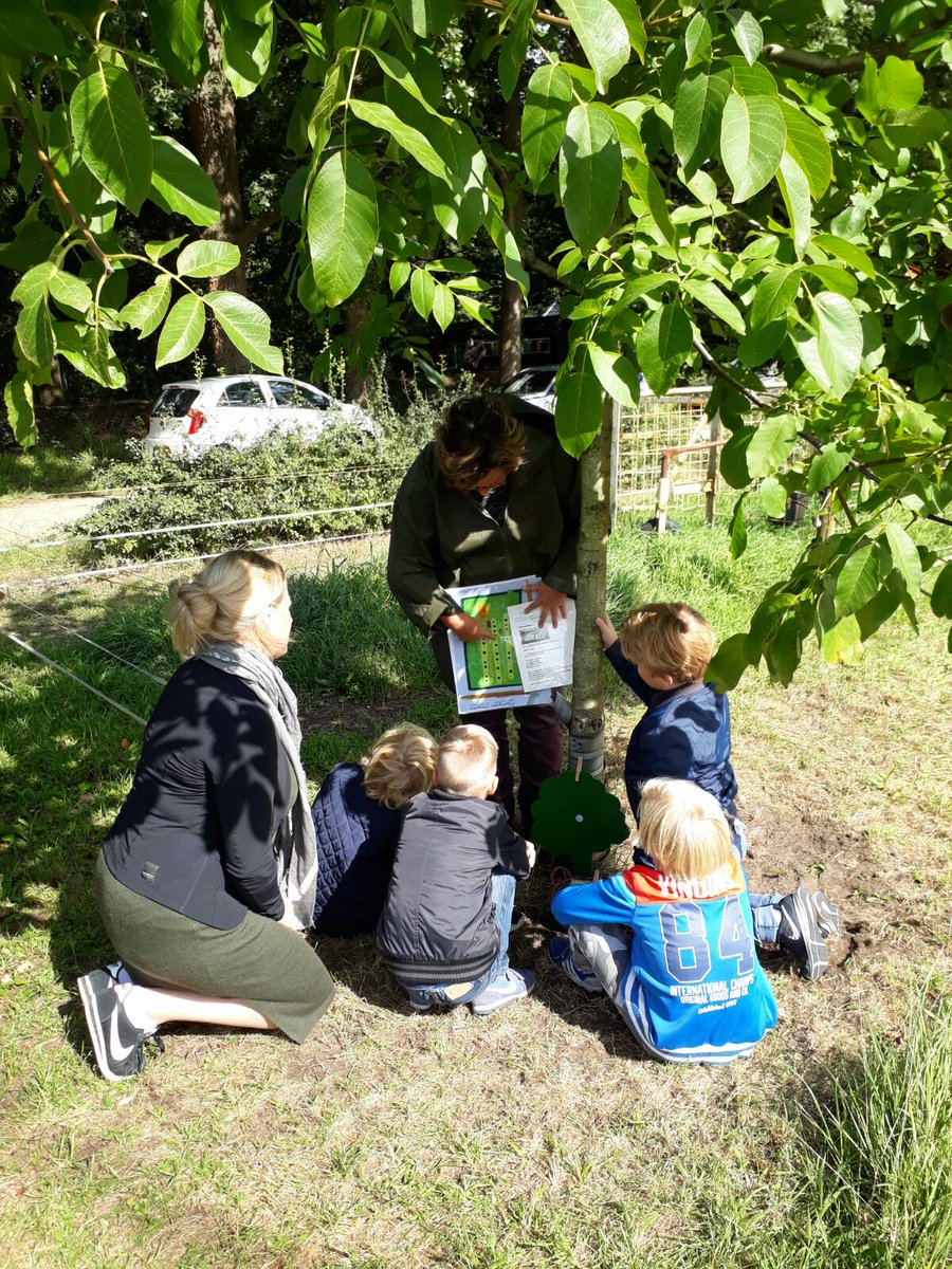 OBSDeSlinger's tweet photo. Groep 3 gaat vandaag naar de NME les: Bijen in de boomgaard. https://t.co/hZl38BnhAc