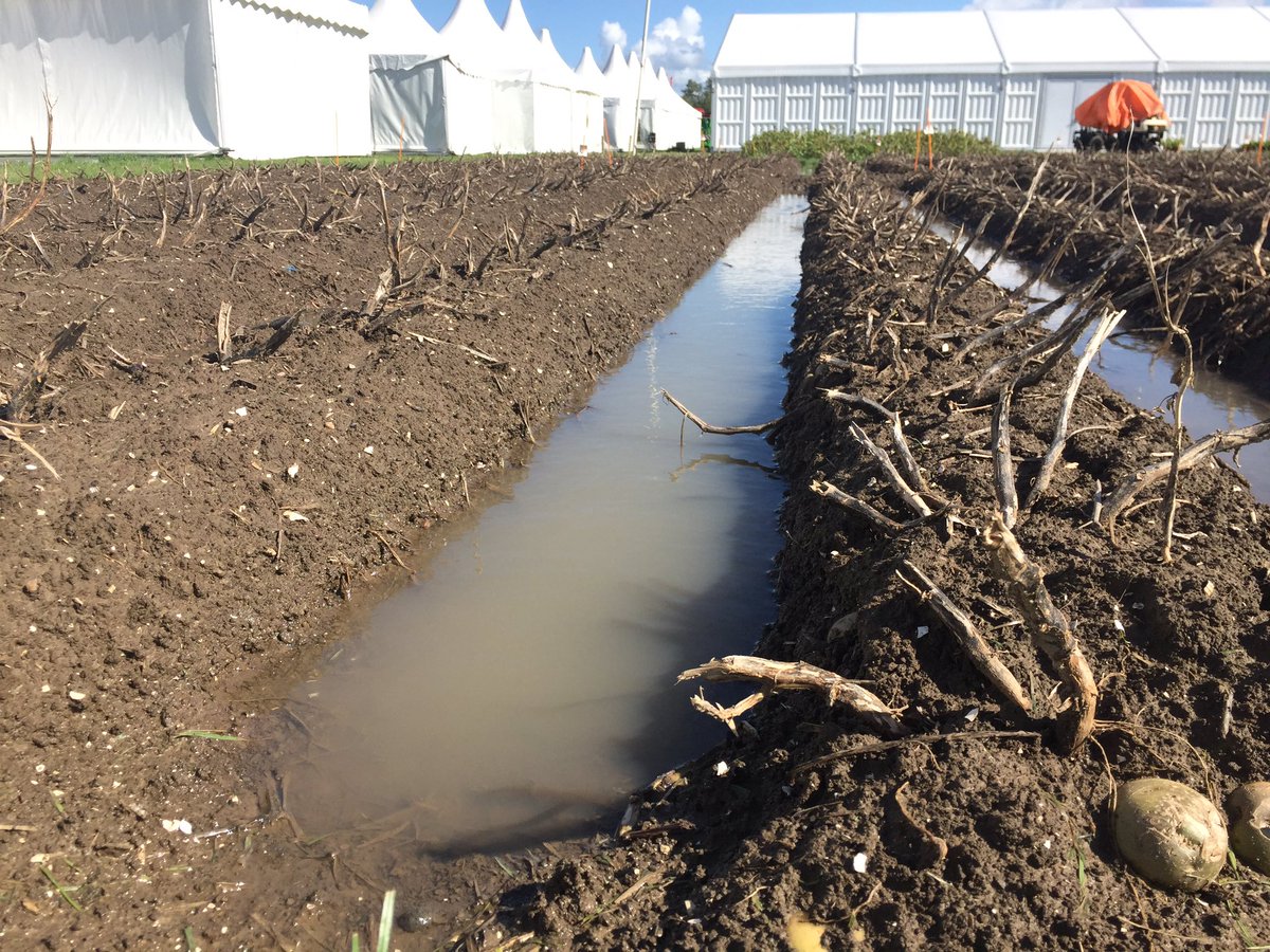 NielsBenB's tweet photo. Woensdag is Potato Europe AFGELAST. Ivm #herfststorm. Donderdag gaat vooralsnog hopelijk WEL door. https://t.co/0xGu3JaTos