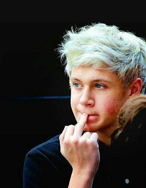 DirKonatsu's tweet photo. @NiallOfficial 
happybirthday!!!!
love you for ever❤️
いつまでも可愛いナイル君でいてね👦🍕
 #niallhappybirthday
#niallhoran https://t.co/iG7iQbLOrQ