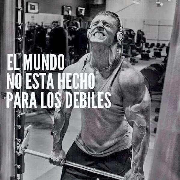 ElProfeDelGym's tweet photo. #Entrenen por que..👇💪🏻 https://t.co/dcTjLBxmoP