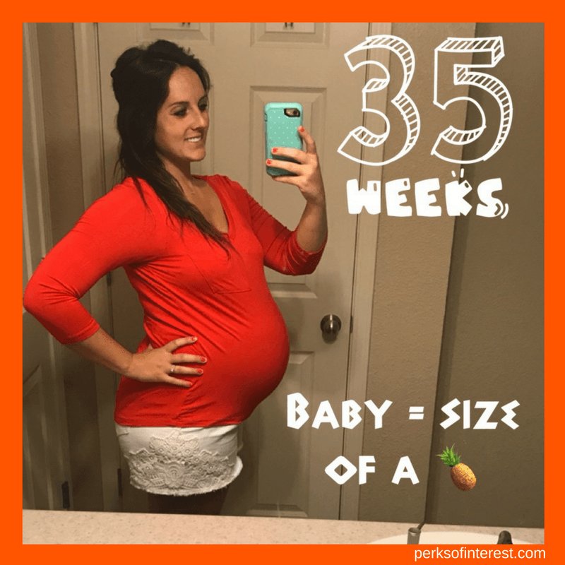 perksofinterest's tweet image. Pregnancy Update – 35 Weeks perksofinterest.com/pregnancy-upda…