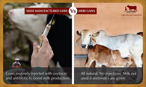 Merigaiya's tweet photo. #merigaiya
Discover the difference between cheap mass produced ghee and Meri Gaiya. Go ahead, give it a try. 
https://t.co/TwQyzW74Pm https://t.co/ZoIiWO4OYe
