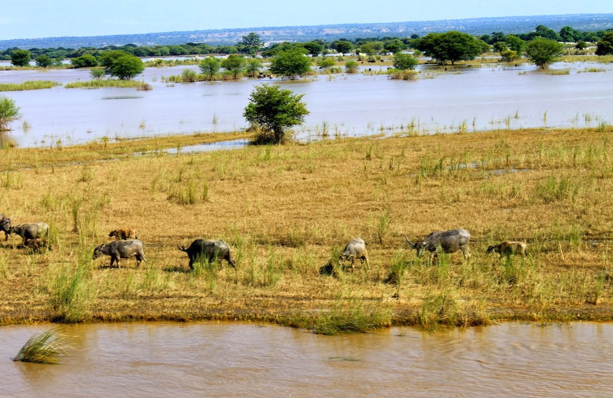 CTAflash's tweet photo. Real-time weather, water, early warning, #climate information &amp; data is needed for climate-resilient development in Africa #africahydromet17 https://t.co/JcaeFUIZo3