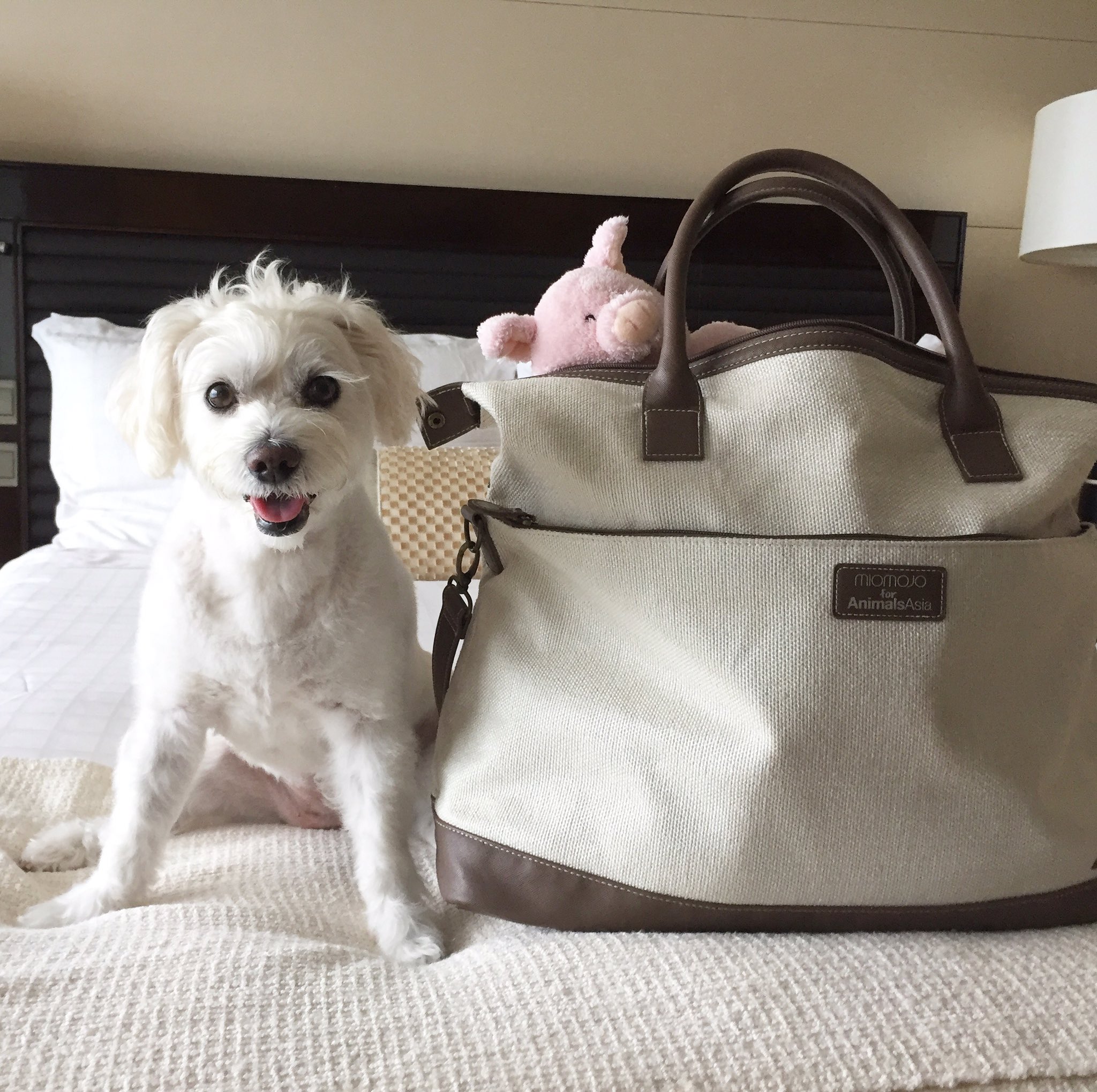 miomojo bags