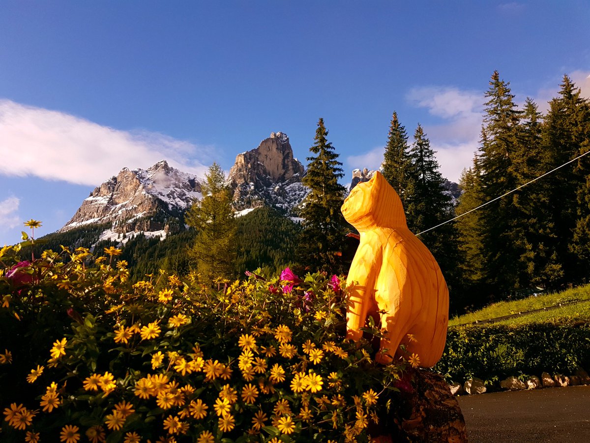 After the snow coming Sunny