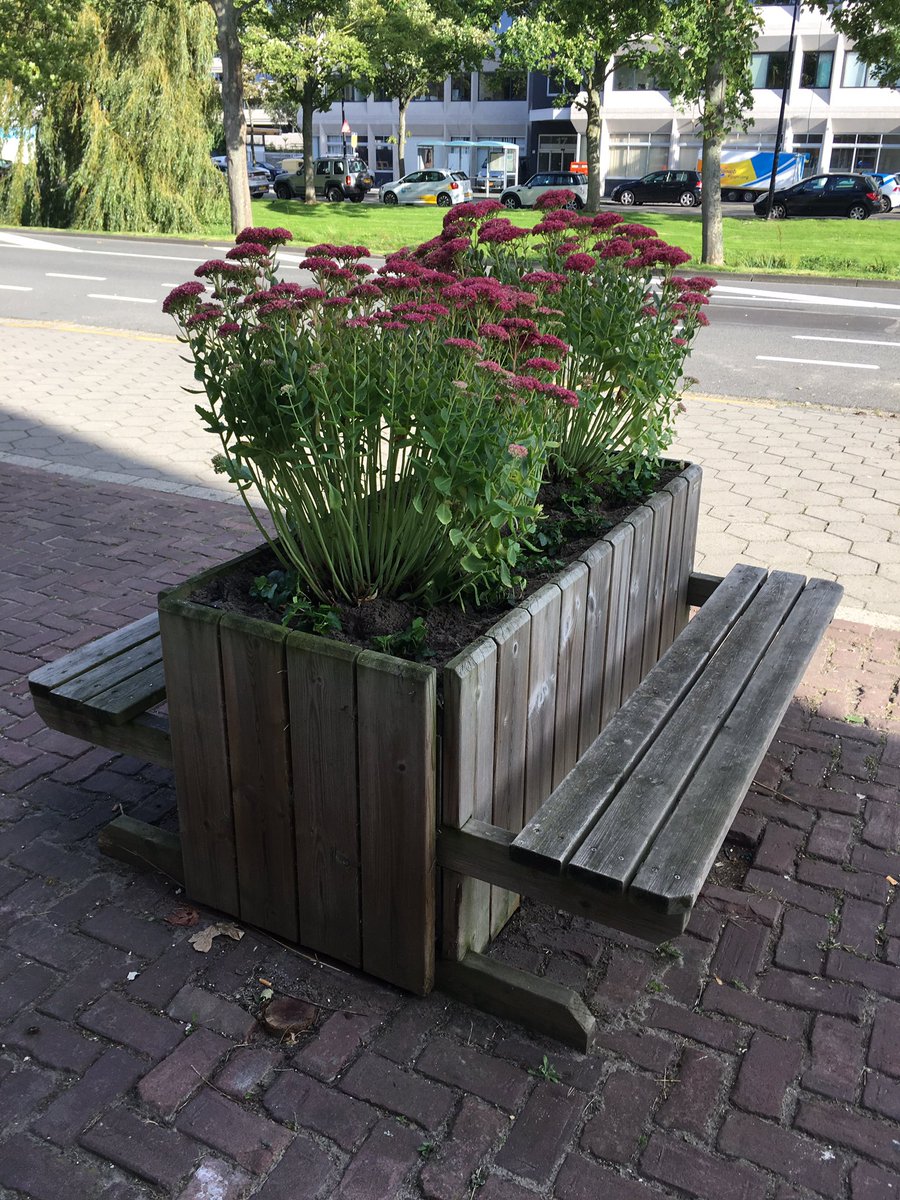 demartinifab's tweet image. Dank aan de groenvoorziening van DSW