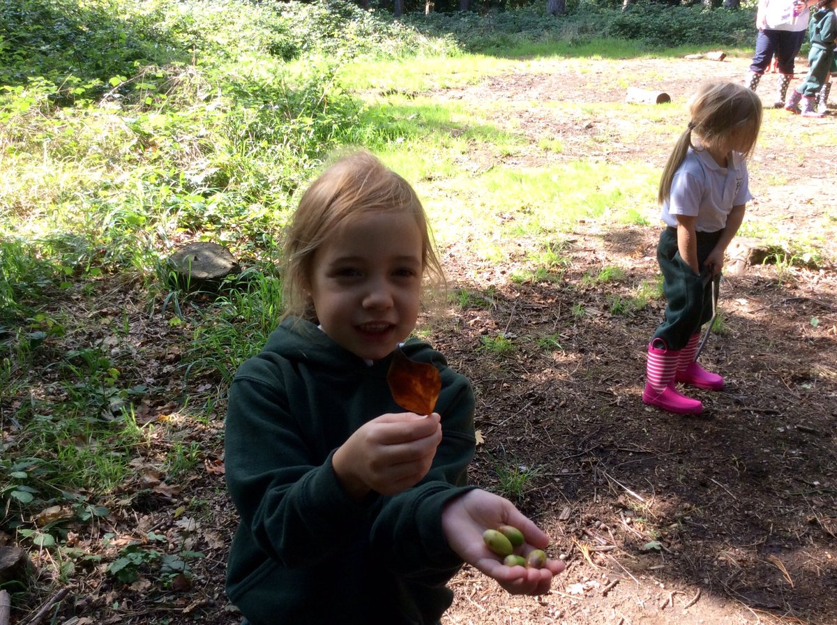 Lovely weather for Y1 LOC today - looking for signs of seasonal change 🍁 @CStewartSHS