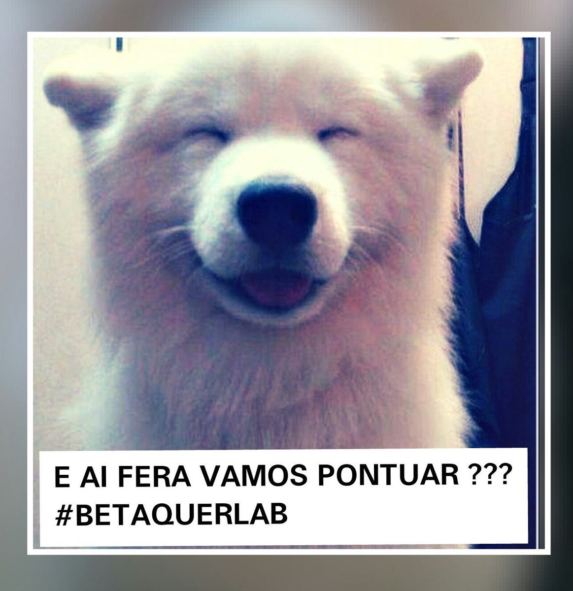 Um urso ajudando o outro e todos se ajudando seremos todos Lab com o #BetaQuerLab

Créditos by <a href="/ofc_nainatkd/">Janaína Alves</a>