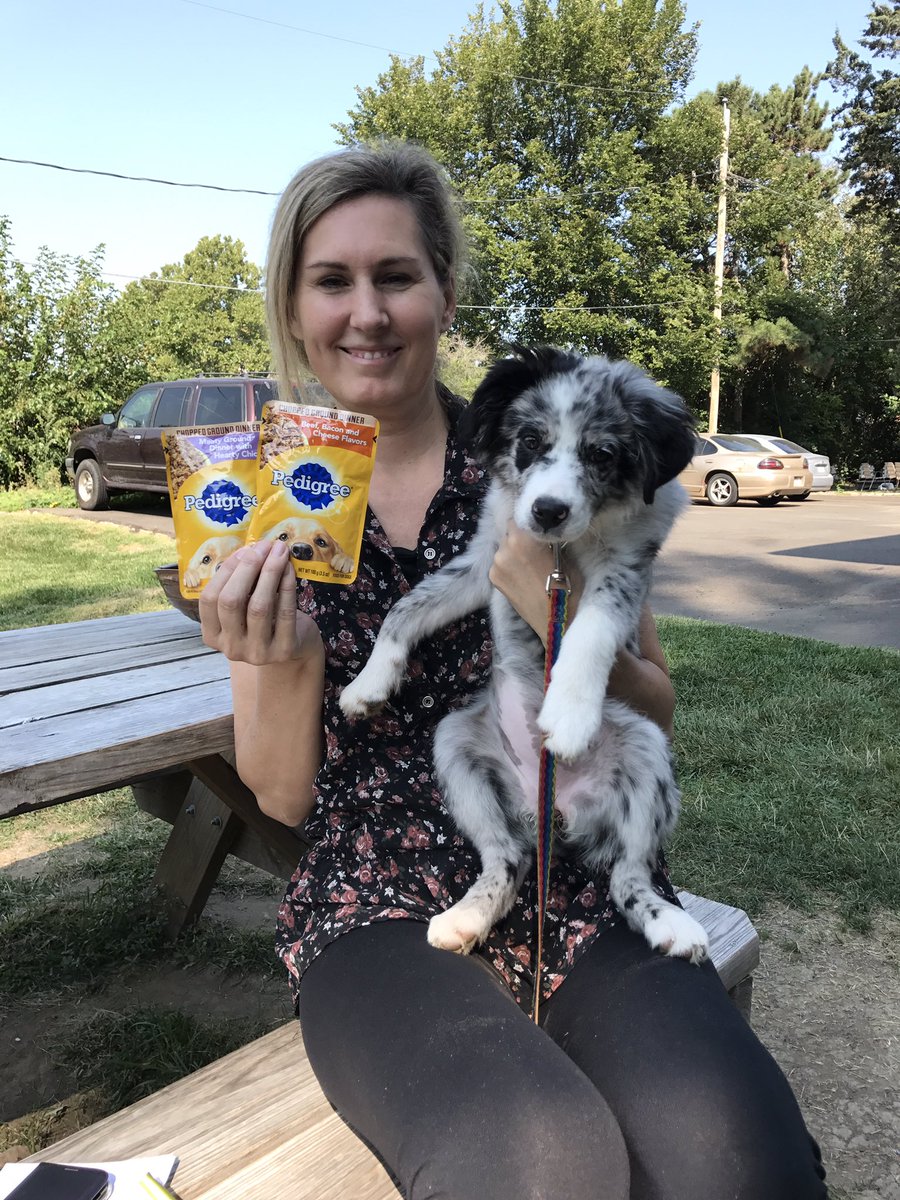 unmcsrt's tweet image. We didn't forget our Fur Family! Plz make sure your pets are taken care when you #PlanAhead. This @UNMC pooch won a treat! Nice job Shadow🐶
