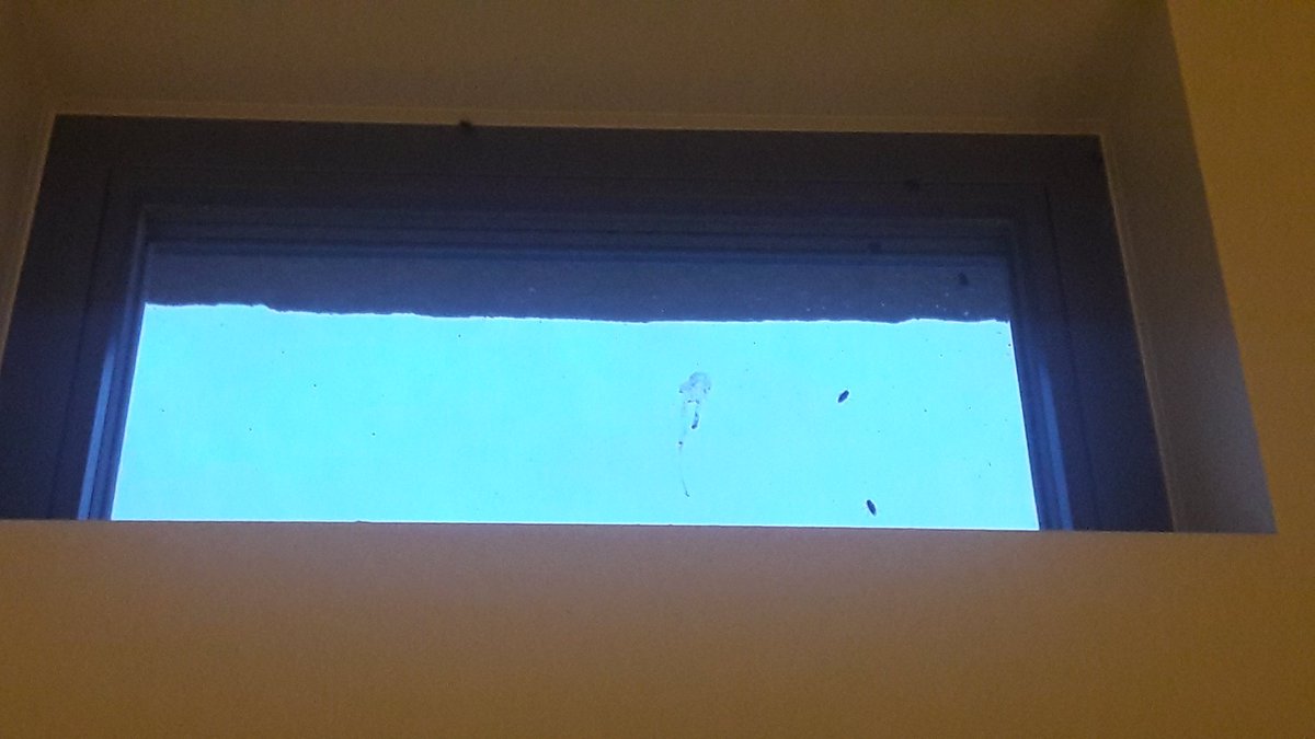 Anete Ašmane tweet media