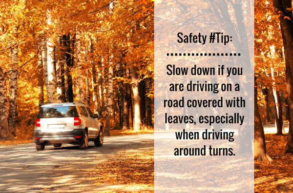 PurcellTire's tweet image. #TuesdayTip: Slow down if you are driving on leaves, they can be just as slippery as ice or snow.