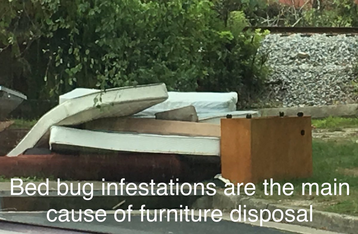 Travel Buddy Spray (@travelspray) on Twitter photo 