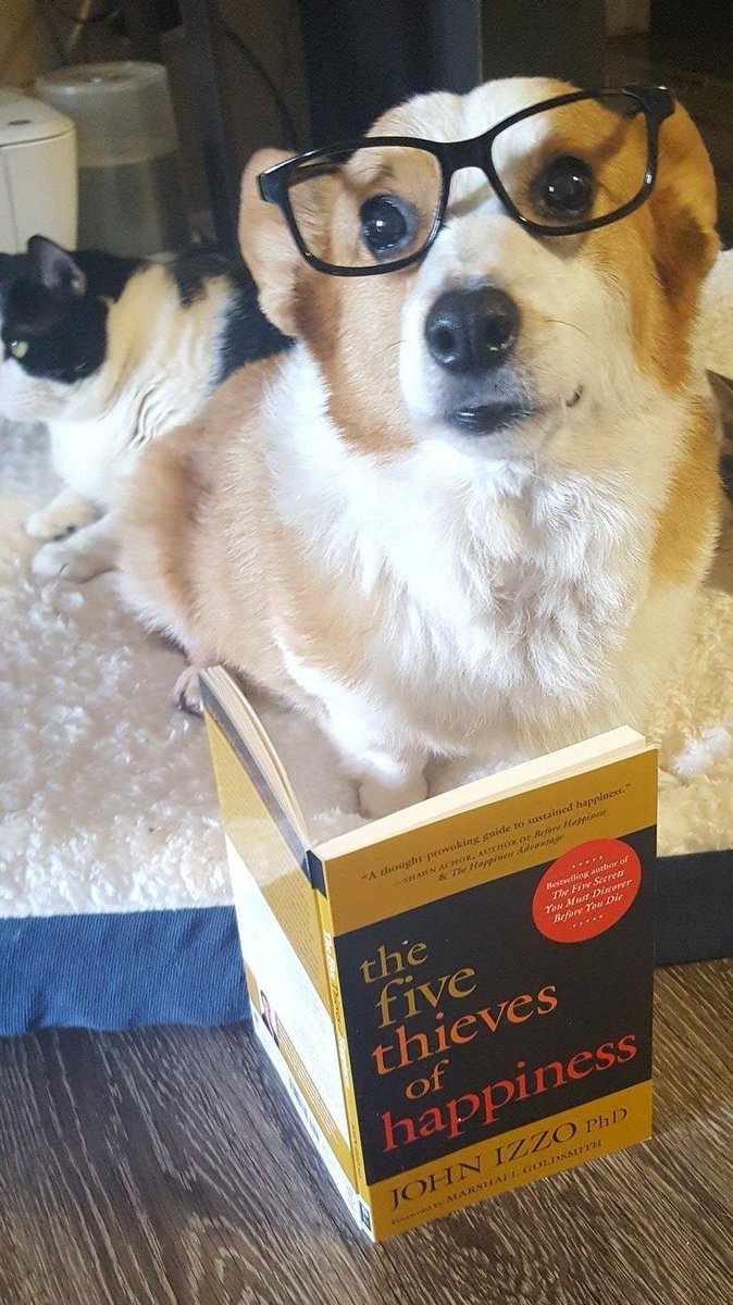 DrJohnIzzo's tweet photo. What are you reading today? The #FiveThieves of #Happiness on @amazon https://t.co/WKOUNxyusF https://t.co/OFHLU6sfOK