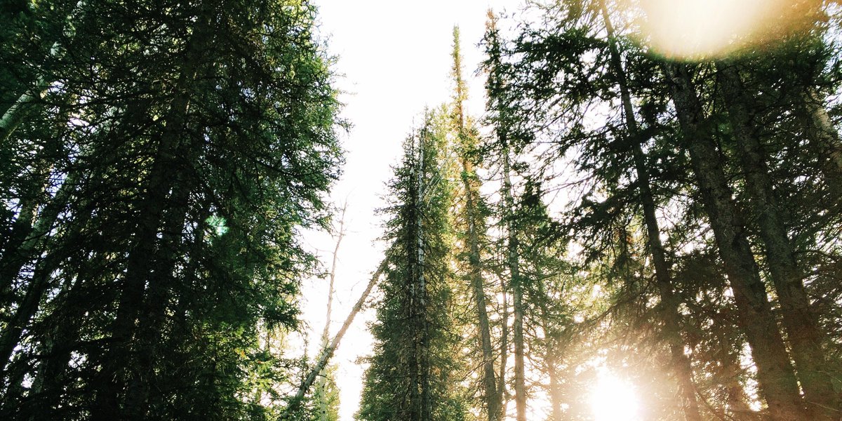 We are pleased to announce that Trecesson Property Cossette gold area IP survey results positive. bit.ly/2jl2gVw #gold #mining